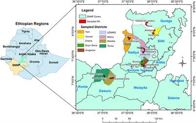 The Genetic Diversity of Enset (Ensete ventricosum) Landraces Used in Traditional Medicine Is Similar to the Diversity Found in Non-medicinal Landraces